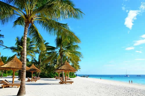 afrique bush safaris beach holidays
